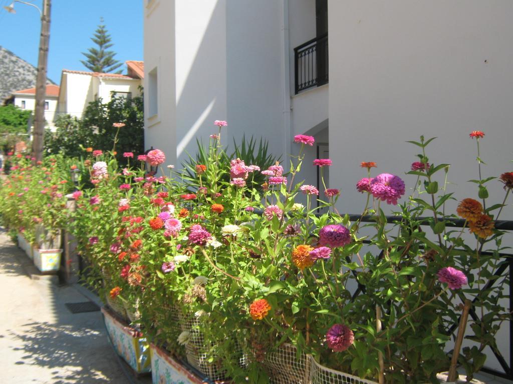 Friderica House Hotell Poros  Rom bilde