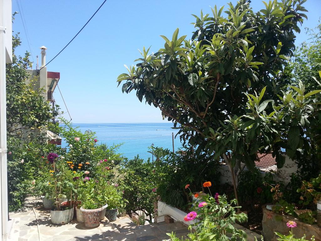 Friderica House Hotell Poros  Eksteriør bilde